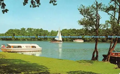 R523760 Norfolk Salhouse Broad D Constance Postkarte