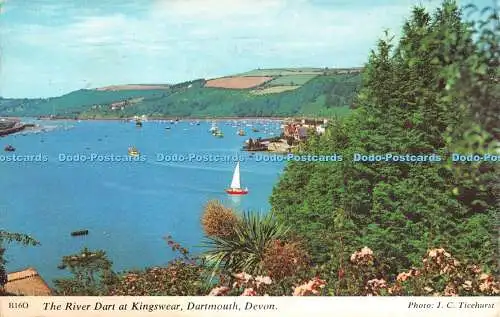 R522043 Devon Dartmoor The River Dart at Kingswear J C Ticehurst 1976