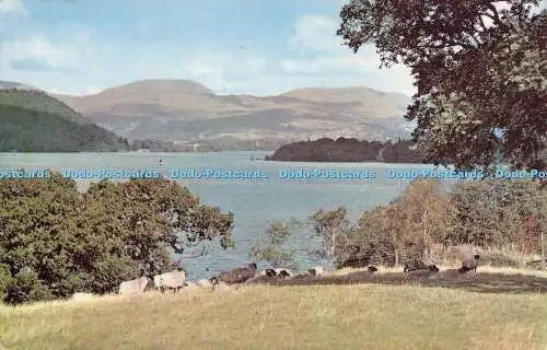 R523767 Lake Windermere von Beech Hill Postkarte 1967