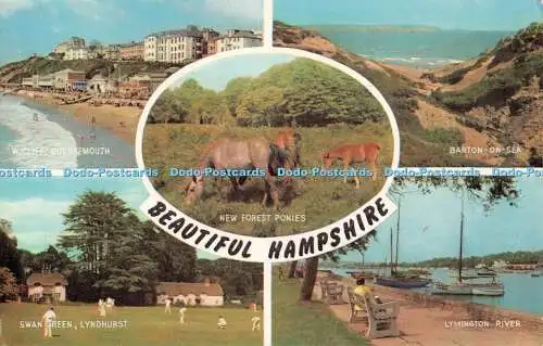 R523777 Beautiful Hampshire Swan Green Lyndhurst J Salmon Multi View