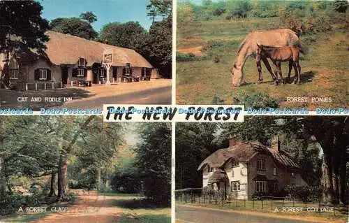 R523780 The New Forest Forest Ponies J Salmon Multi View 1974