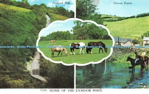 R523915 Home of the Exmoor Pony Porlock Hill Harvey Barton Multi View