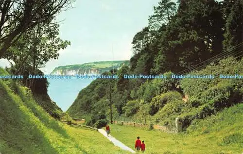 R522211 Seaton The Chine E T W Dennis Photocolour 1967