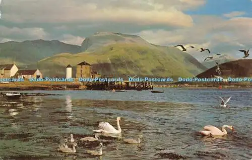 R518210 Loch Linnhe und Ben Nevis höchster Berg der britischen Inseln von Cor