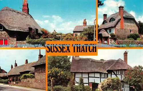 R522227 Sussex Thatch Photo Precision Limited Colourmaster International Multi V