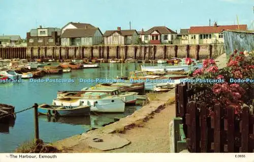 R522262 Exmouth The Harbour E T W Dennis Photocolour