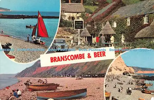 R522296 Branscombe und Biersegeln am Bierstrand am Beer Two Counties Match Pla