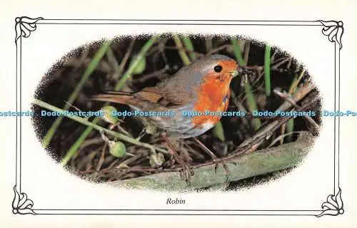 R522335 Robin Photo Precision Limited Colourmaster International