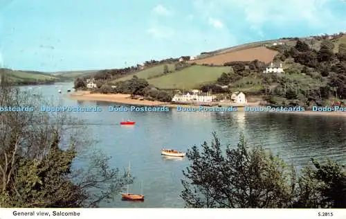 R522365 Salcombe General View E T W Dennis Photocolour 1971