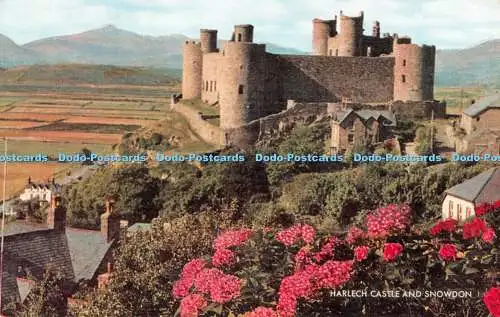 R522388 Harlech Castle and Snowdon J Salmon Cameracolour