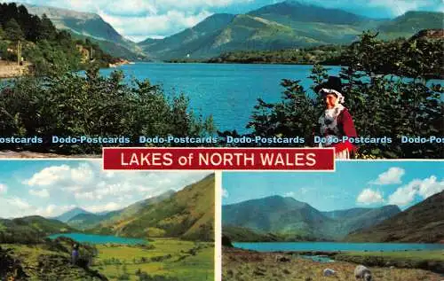 R522404 Lakes of North Wales Llyn Padarn Llyn Gwynant Llyn Ogwen Bamforth Farbe