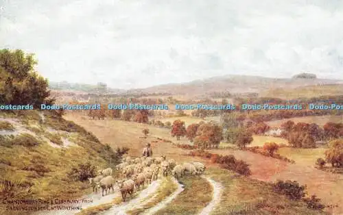 R518457 Chanctonbury Ring und Cissbury von Salvington Mill Nr Worthing J Salmon