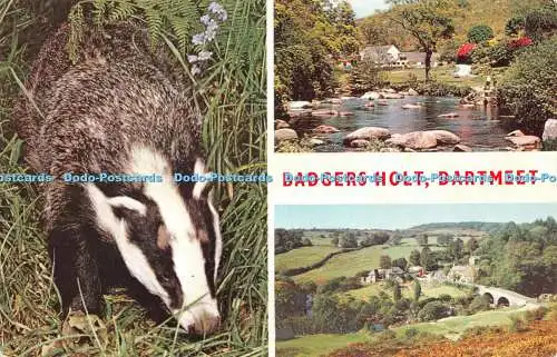 R522494 Dartmeet Badgers Holt Jarrold Cotman Color Series Multi View