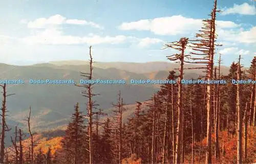 R526511 Blick vom höchsten Punkt des Mount Mitchell in Ostamerika Hugh Morton Pl