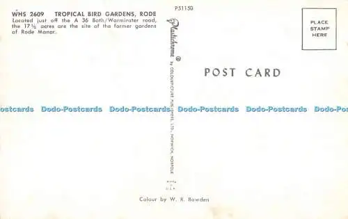 R526516 Rode Tropical Bird Gardens Plastichrome W R Bawden
