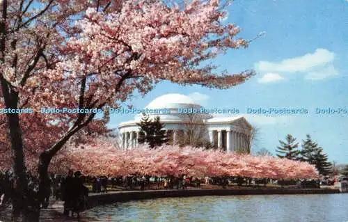 R526518 Jefferson Memorial erscheint in seiner schönsten Sitzgelegenheit meist früh i
