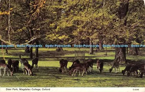 R526523 Oxford Magdalen College Deer Park E T W Dennis Photocolour 1983