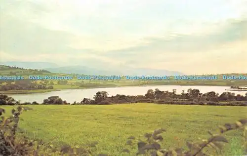 R520534 Llangorse Lake Nr Brecon Postkarte