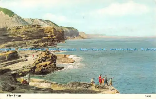 R518553 Filey Brigg F0258 Dennis