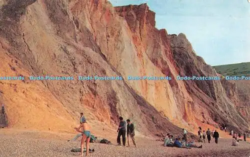 R522593 The Coloured Cliffs Alum Bay W J Nigh Plastichrome von Colourpicture 1962