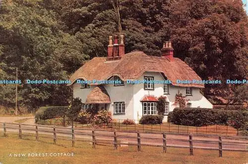 R522660 A New Forest Cottage J Salmon Postkarte