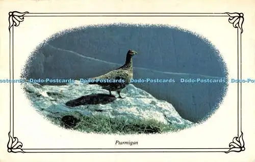 R526694 Ptarmigan Photo Precision Limited Colourmaster International