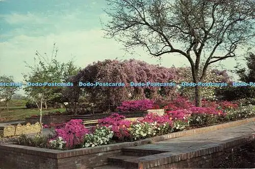 R524622 Glyzinienlaube Frühling bringt einen Blütenstoß ins Botanische Zentrum Sa