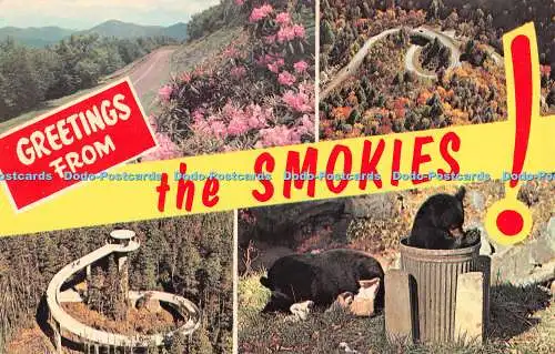 R524627 Grüße von den Smokies Chow Time Clingman Dome Southern Postkarte Pl