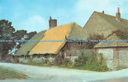 R523284 Nyetimber Summers Lane Postkarte