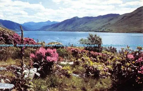 R525010 Fingerhandschuhe und Rhododendren am Lochbesen