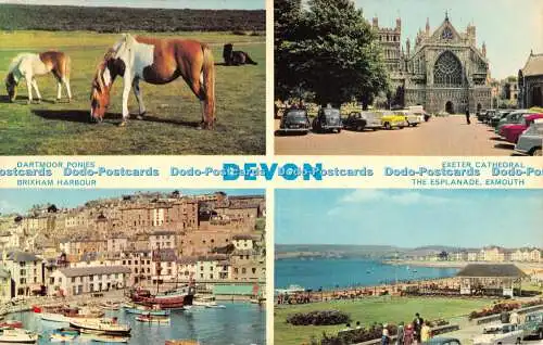 R525410 Devon Dartmoor Ponys Brixham Harbour E T W Dennis Photocolour Multi Vie