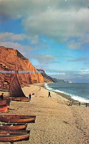 R527811 Red Cliffs of Devon at Sidmouth WHS 662 G Douglas Bolton Plastichrome Co