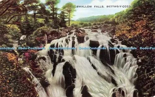 R525775 Swallow Falls Bettys y Coed 13881 Valesque 1240V Style Valentines