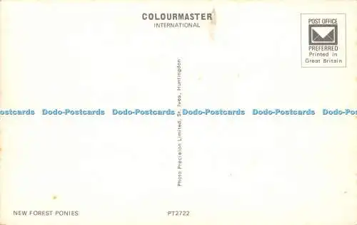 R525990 New Forest Ponys Precision Colourmaster International PT2722