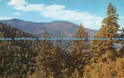 R525992 AM 1 Mt Michell Highest Peak in Eastern America Walter Cline 1955 W M Cl