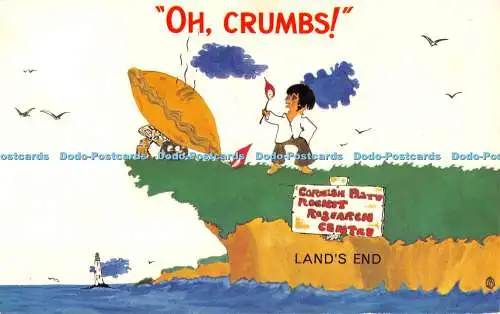 R525999 Oh Crumbs Lands End 1975