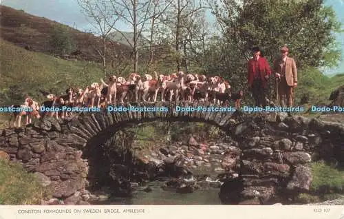 R718538 Ambleside Coniston Foxhounds on Sweden Bridge Jarrold Norwich England Sa