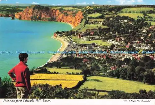 R718895 Devon Sidmouth von Salcombe Hill John Hinde London E Nagele PM ExeterDi