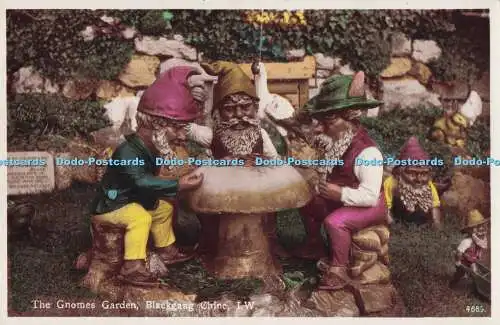 R717759 I W Blackgang Chine The Gnomes Garden Night Ventnor RP