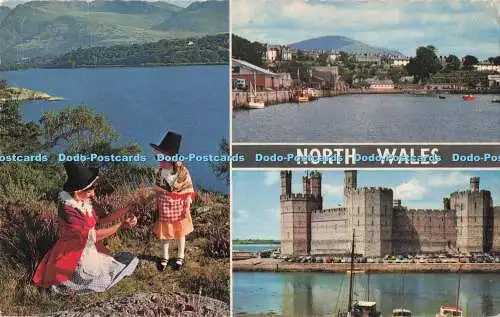 R718938 North Wales Llyn Padarn D Constance Littlehampton Sussex 1969 Multi View