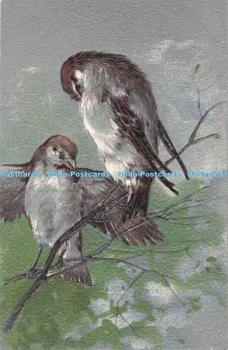 R719114 Zwei Vögel Theo Stroefer Nürnberg Serie 3192
