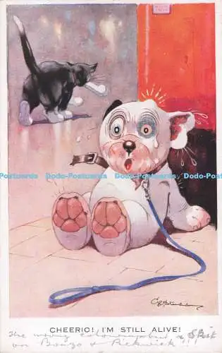R719276 George Studdy Bonzo Cheerio I m Still Alive No 1259 Valentine
