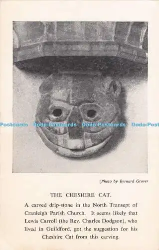 R720567 Die Cheshire Cat geschnitzter Tropfstein im nördlichen Transept von Cranleigh Pa