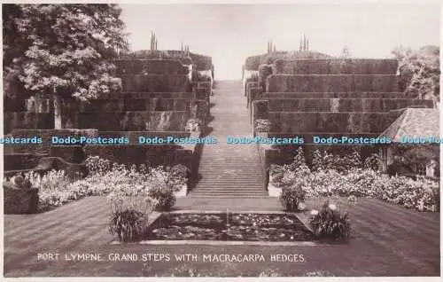 R721225 Port Lympne Grand Steps mit Macracarpa Hecken Kent