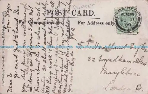 R721339 Lyme Regis aus der Cobb G T Harris Nature Serie Sidmouth 1909