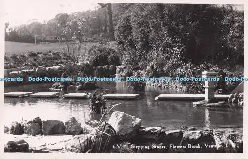 R723536 I W Ventnor Trittsteine Blumen Bachnacht Echt Foto Postkarte 1950