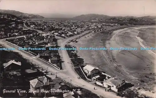 R723963 N Z Wellington Gesamtansicht Lyall Bay Tanner Bros Maoriland Fotografie