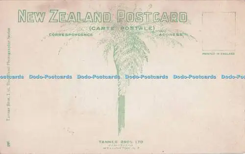 R723963 N Z Wellington Gesamtansicht Lyall Bay Tanner Bros Maoriland Fotografie