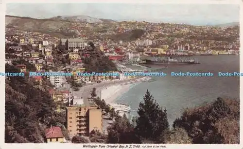 R724102 N Z Wellington von Oriental Bay A B Hurst