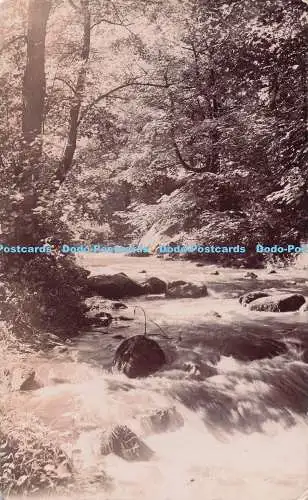 R725068 Rivelin Glen Der Wasserfall im Wald 1905